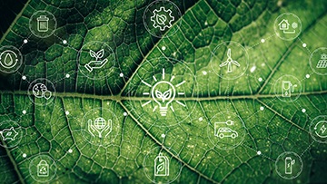 Investor Playbook: 10 ways to use ESG information 