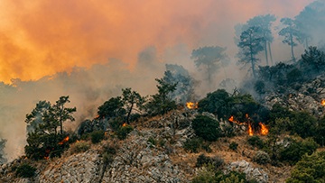 An investor’s guide to weathering physical climate risk