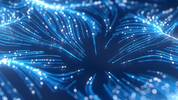 Tax management is more than just tax loss harvesting